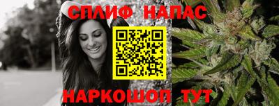 стафф Нальчик