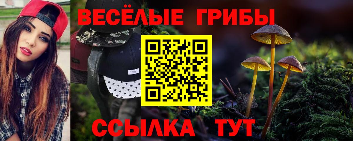 Псилоцибиновые грибы Cubensis Протвино